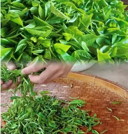 上海首店首发最近有哪些？静安寺淮海路｜排队与体验测评
