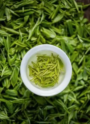 上海咖啡文藏着巨富长通宵茶室？梧桐区深夜安静聊天好去处大揭秘🌙