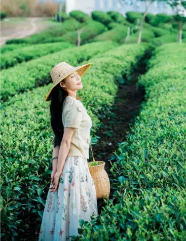 上海思南公馆夜游图鉴：老洋房散步路线藏着让情侣心跳加速的清吧密码