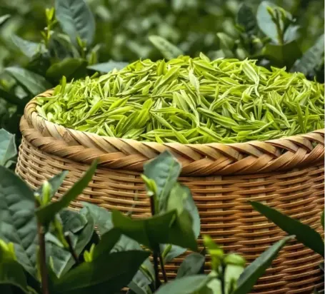 上海茑屋书店上生新所哥伦比亚：这座文化地标凭什么让全城文青疯狂打卡？🔥