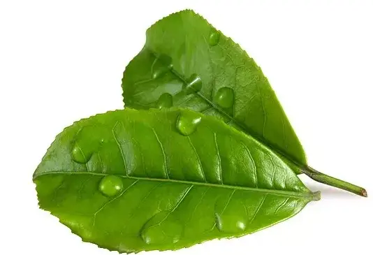 上海迪士尼省钱玩法大实话：早享卡到底值不值，排队顺序我给你排明白了